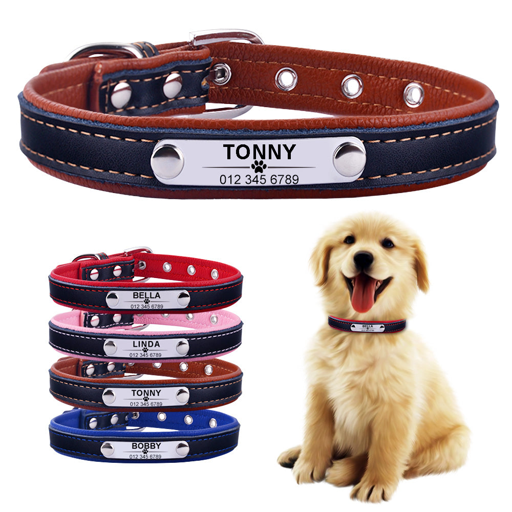 Dog Collar Leather Puppy ID Name Custom Engraved