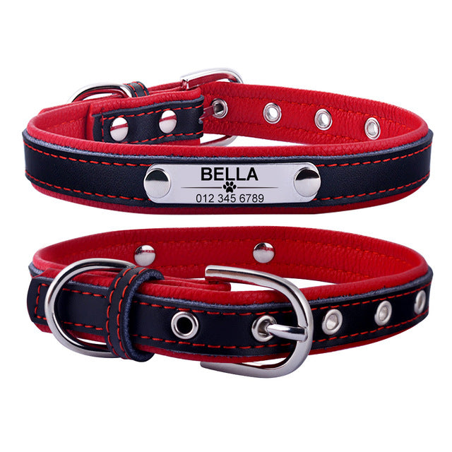 Dog Collar Leather Puppy ID Name Custom Engraved