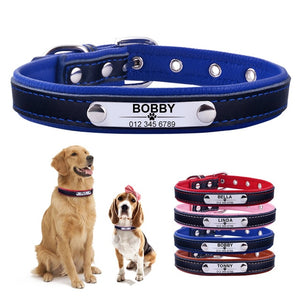 Dog Collar Leather Puppy ID Name Custom Engraved