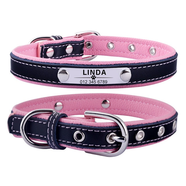 Dog Collar Leather Puppy ID Name Custom Engraved