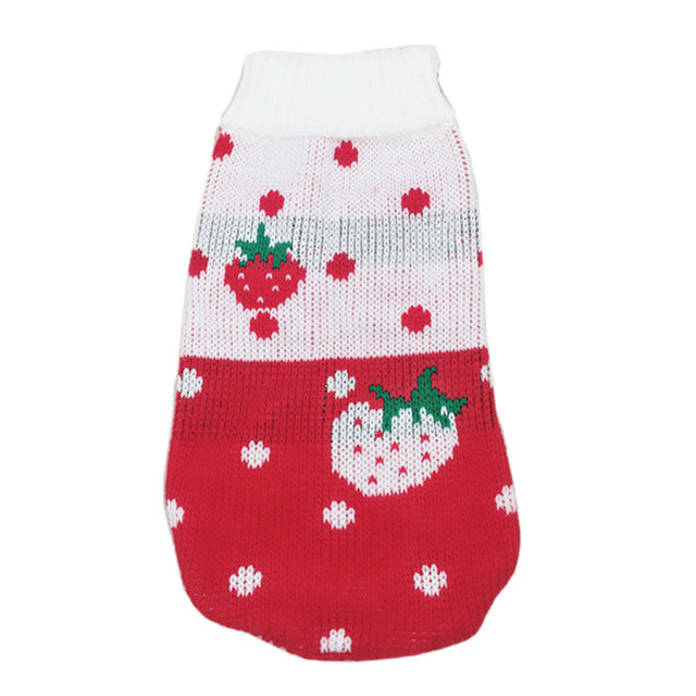 Dog Clothes for Small Dogs Chihuahua Yorkies Puppy Jacket