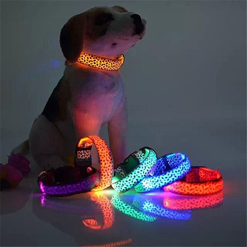 Nylon LED Pet Dog Collar Night Safety Flashing Glowing Collar Leash