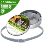 Waterproof Long Lasting Dog Collar Custom Puppy Cat Pet Collars